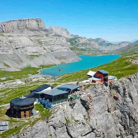 Domino - Superbe De Standing