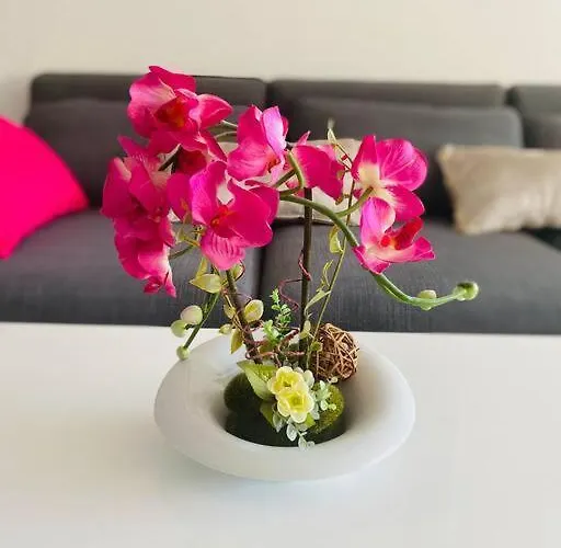 Domino - Superbe De Standing Apartmán