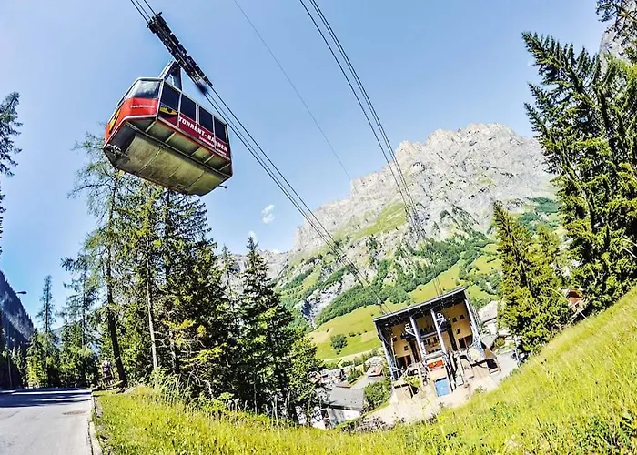 Domino - Superbe De Standing *