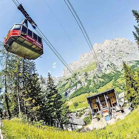 Domino - Superbe De Standing *